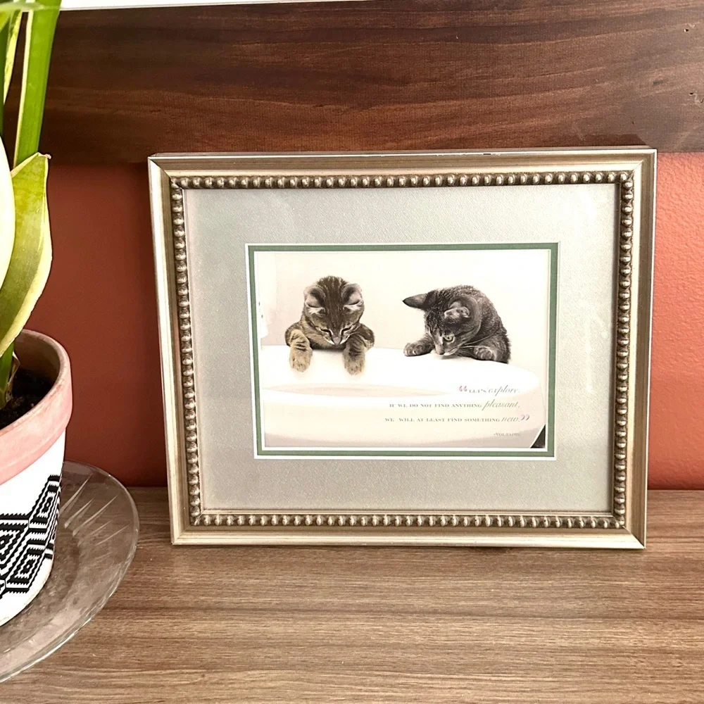 Let’s Explore…Find Something New Cat Print Kitty Voltaire Quote Framed Wall Art